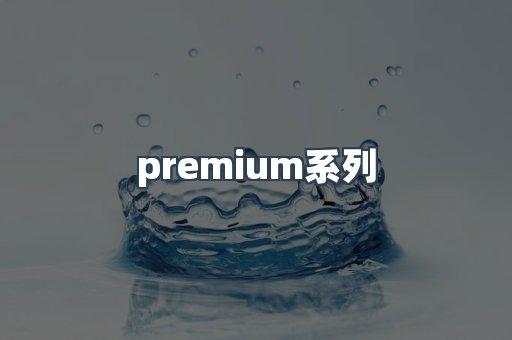 premium系列